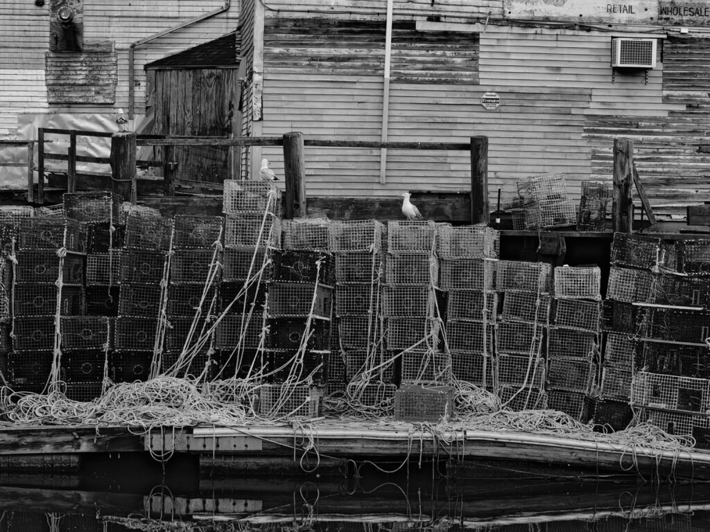 Retail Wholesale black and white photograph of lobster traps and rope stacked on working waterfront dock with seagulls, Portland, Maine, fine art photography by Brad Emerson