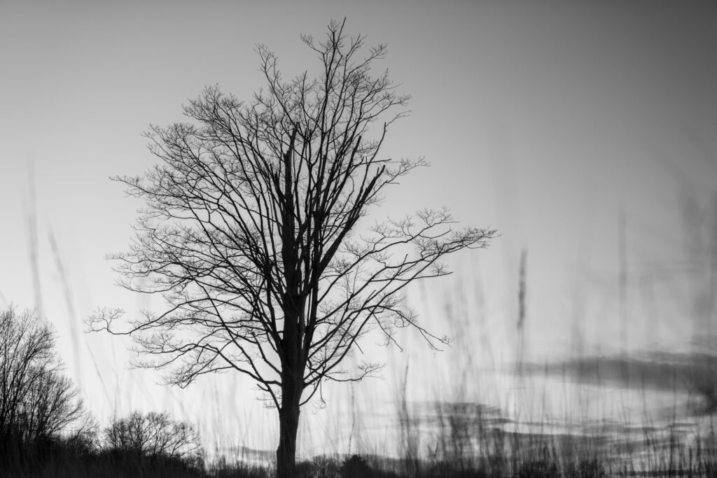 Beyond Indian Summer, Old Town Hill, Newbury, Massachusetts