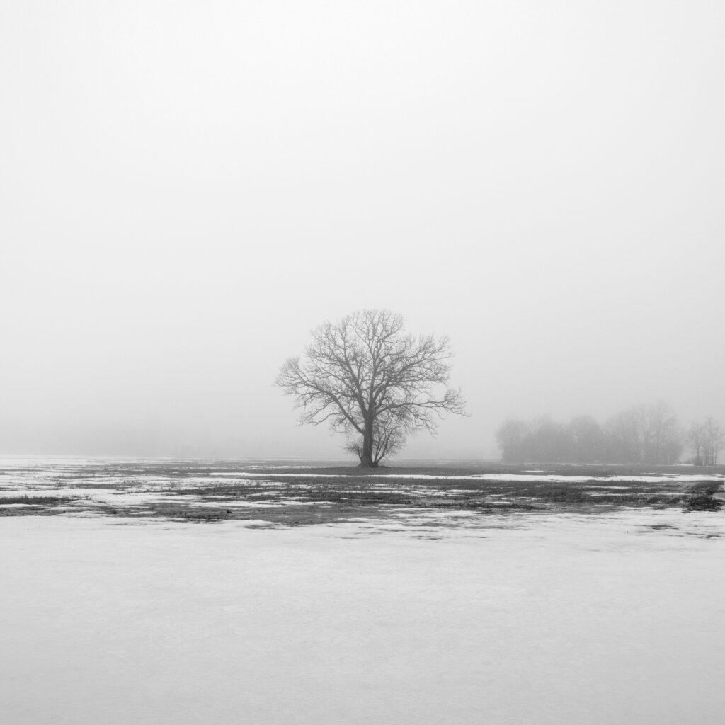 False Spring, Scotland Road, Newburyport, Massachusetts